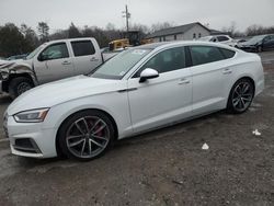 Audi s5/rs5 salvage cars for sale: 2019 Audi S5 Premium Plus