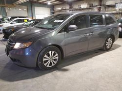 Honda Vehiculos salvage en venta: 2014 Honda Odyssey EXL