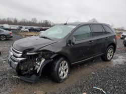 Ford Vehiculos salvage en venta: 2013 Ford Edge SEL