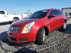 Cadillac Vehiculos salvage en venta: 2011 Cadillac SRX Luxury Collection