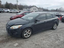 Ford Focus salvage cars for sale: 2014 Ford Focus SE