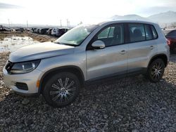 Volkswagen Vehiculos salvage en venta: 2013 Volkswagen Tiguan S