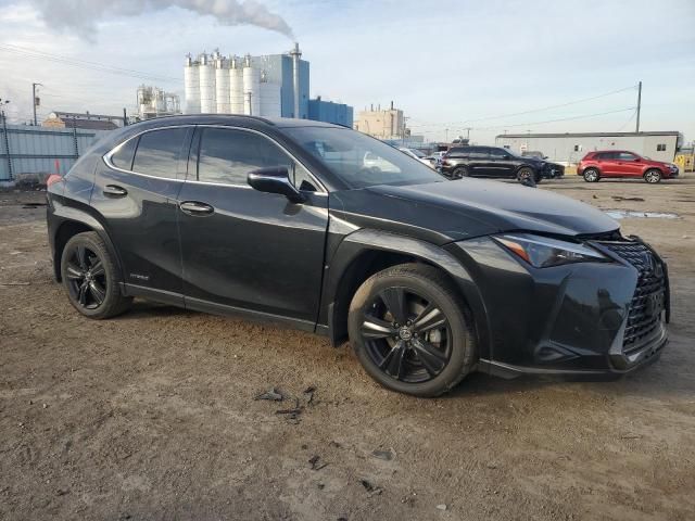 2021 Lexus UX 250H