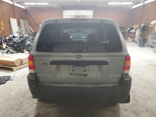 2006 Ford Escape XLT