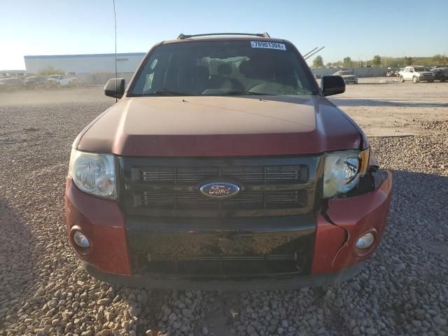 2009 Ford Escape XLT