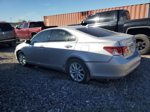 2010 Lexus ES 350