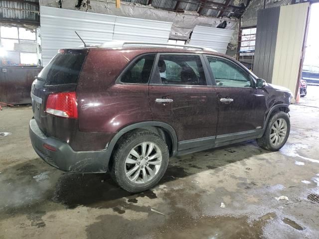 2011 KIA Sorento Base