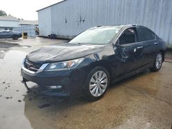 Honda salvage cars for sale: 2014 Honda Accord EXL