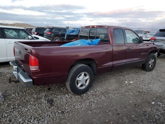 2000 Dodge Dakota