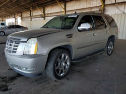 Cadillac Vehiculos salvage en venta: 2009 Cadillac Escalade Luxury