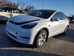 Tesla Model y salvage cars for sale: 2024 Tesla Model Y