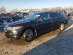 Honda Crosstour salvage cars for sale: 2012 Honda Crosstour EXL