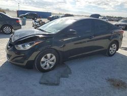 Hyundai Elantra salvage cars for sale: 2016 Hyundai Elantra SE