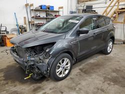 2017 Ford Escape SE en venta en Ham Lake, MN