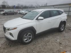 Hyundai Tucson salvage cars for sale: 2023 Hyundai Tucson SE