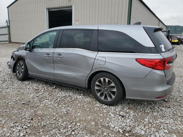 2023 Honda Odyssey EXL