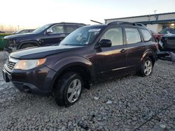 Subaru Vehiculos salvage en venta: 2013 Subaru Forester 2.5X