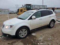 Subaru Tribeca salvage cars for sale: 2009 Subaru Tribeca Limited