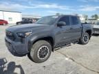 2024 Toyota Tacoma Double Cab