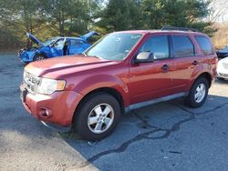 Ford salvage cars for sale: 2012 Ford Escape XLT