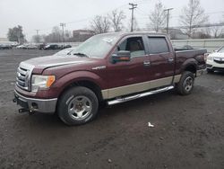 Ford Vehiculos salvage en venta: 2009 Ford F150 Supercrew