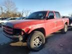 2003 Dodge Dakota Quad Sport