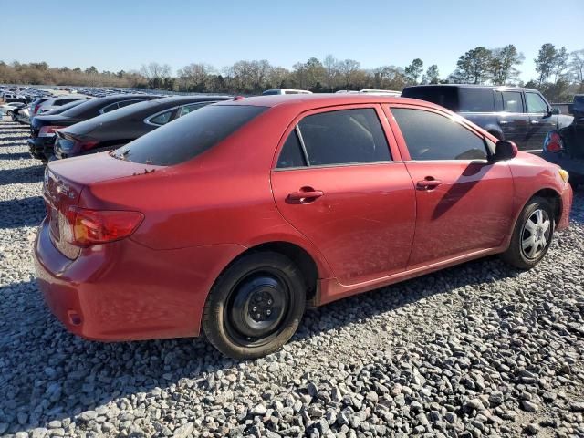 2010 Toyota Corolla Base