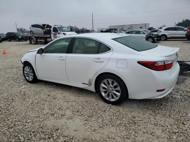 2013 Lexus ES 300H