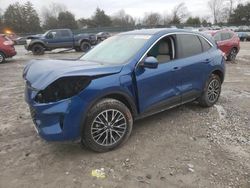 Ford Escape sel salvage cars for sale: 2022 Ford Escape SEL