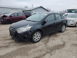 Ford Focus Vehiculos salvage en venta: 2012 Ford Focus SE