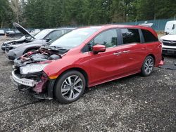 2024 Honda Odyssey Touring for sale in Graham, WA