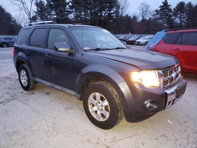 2009 Ford Escape Limited