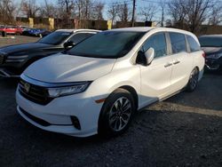 Honda Odyssey exl salvage cars for sale: 2021 Honda Odyssey EXL