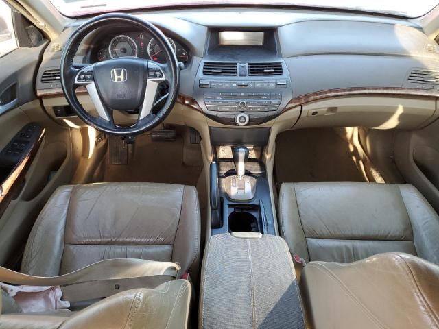 2008 Honda Accord EXL