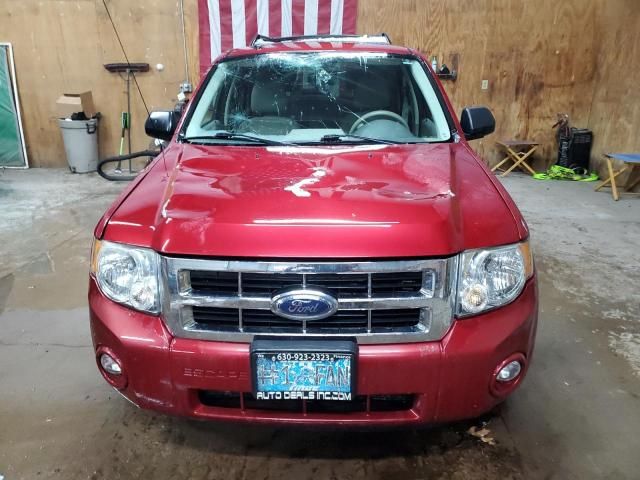 2008 Ford Escape XLT