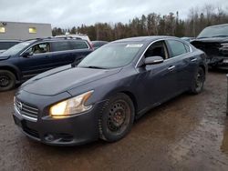 Nissan Maxima salvage cars for sale: 2009 Nissan Maxima S