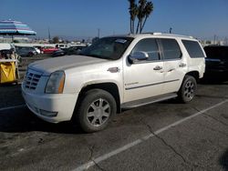 Cadillac Escalade salvage cars for sale: 2007 Cadillac Escalade Luxury