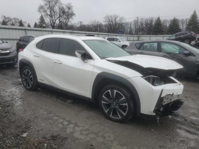 2020 Lexus UX 250H