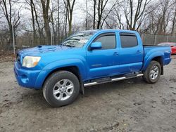 Toyota salvage cars for sale: 2006 Toyota Tacoma Double Cab