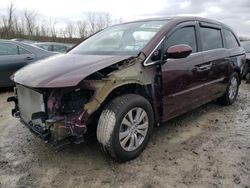 Honda Odyssey exl Vehiculos salvage en venta: 2014 Honda Odyssey EXL