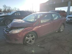 Ford Focus salvage cars for sale: 2014 Ford Focus SE