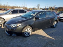 Toyota Corolla salvage cars for sale: 2014 Toyota Corolla L