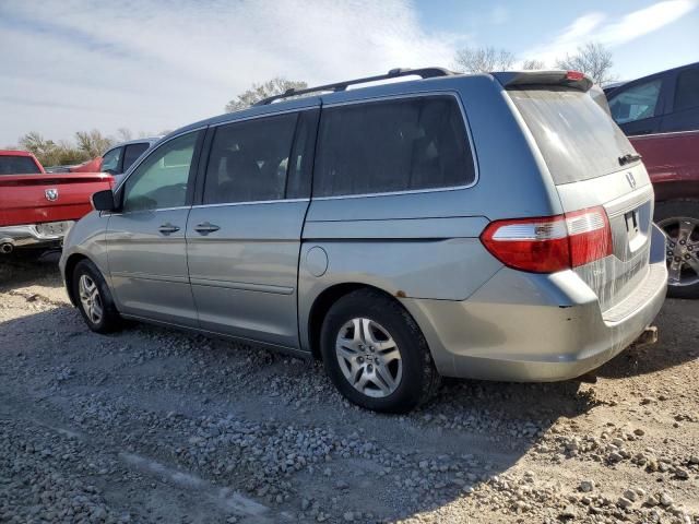 2005 Honda Odyssey EXL