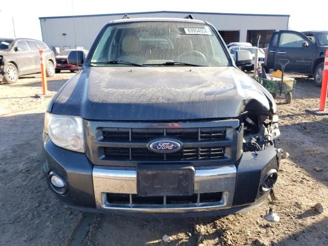 2008 Ford Escape Limited