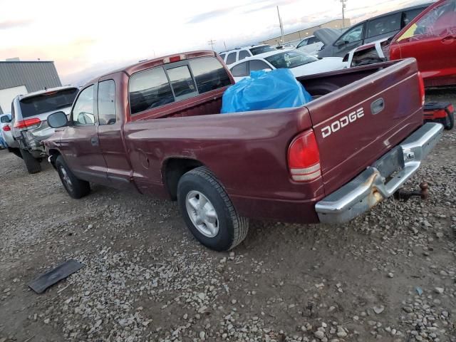 2000 Dodge Dakota