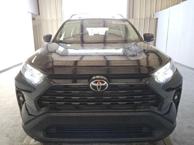 2024 Toyota Rav4 XLE Premium