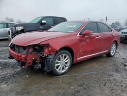 Lexus salvage cars for sale: 2010 Lexus ES 350