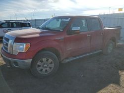 Ford f-150 salvage cars for sale: 2012 Ford F150 Supercrew