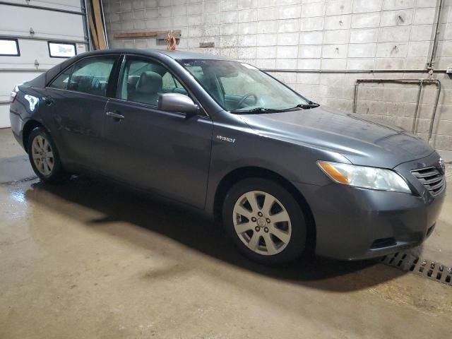 2008 Toyota Camry Hybrid