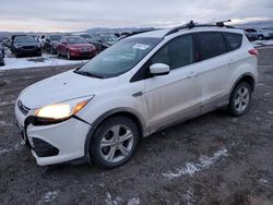 Ford Escape salvage cars for sale: 2016 Ford Escape SE